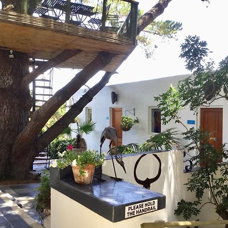 Oceangolf Guest House Noordhoek Εξωτερικό φωτογραφία
