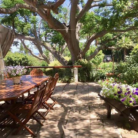 Oceangolf Guest House Noordhoek Εξωτερικό φωτογραφία