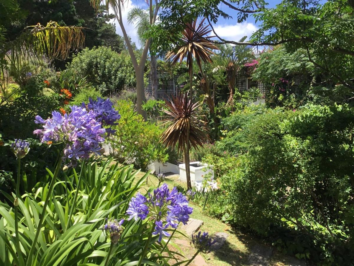 Oceangolf Guest House Noordhoek Εξωτερικό φωτογραφία