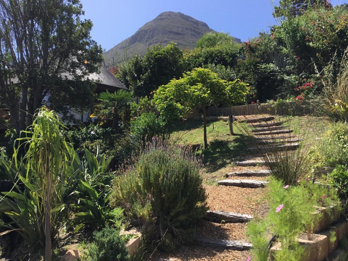 Oceangolf Guest House Noordhoek Εξωτερικό φωτογραφία