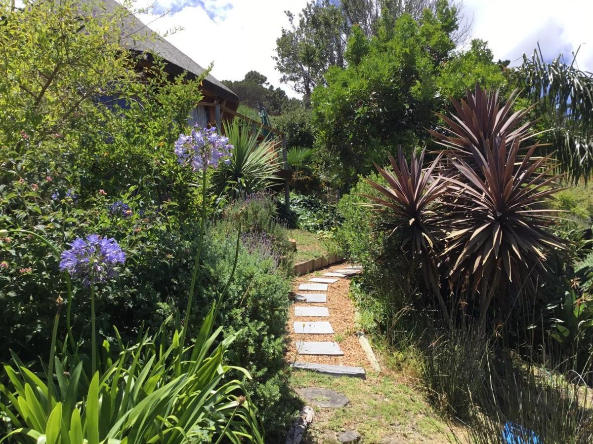 Oceangolf Guest House Noordhoek Εξωτερικό φωτογραφία