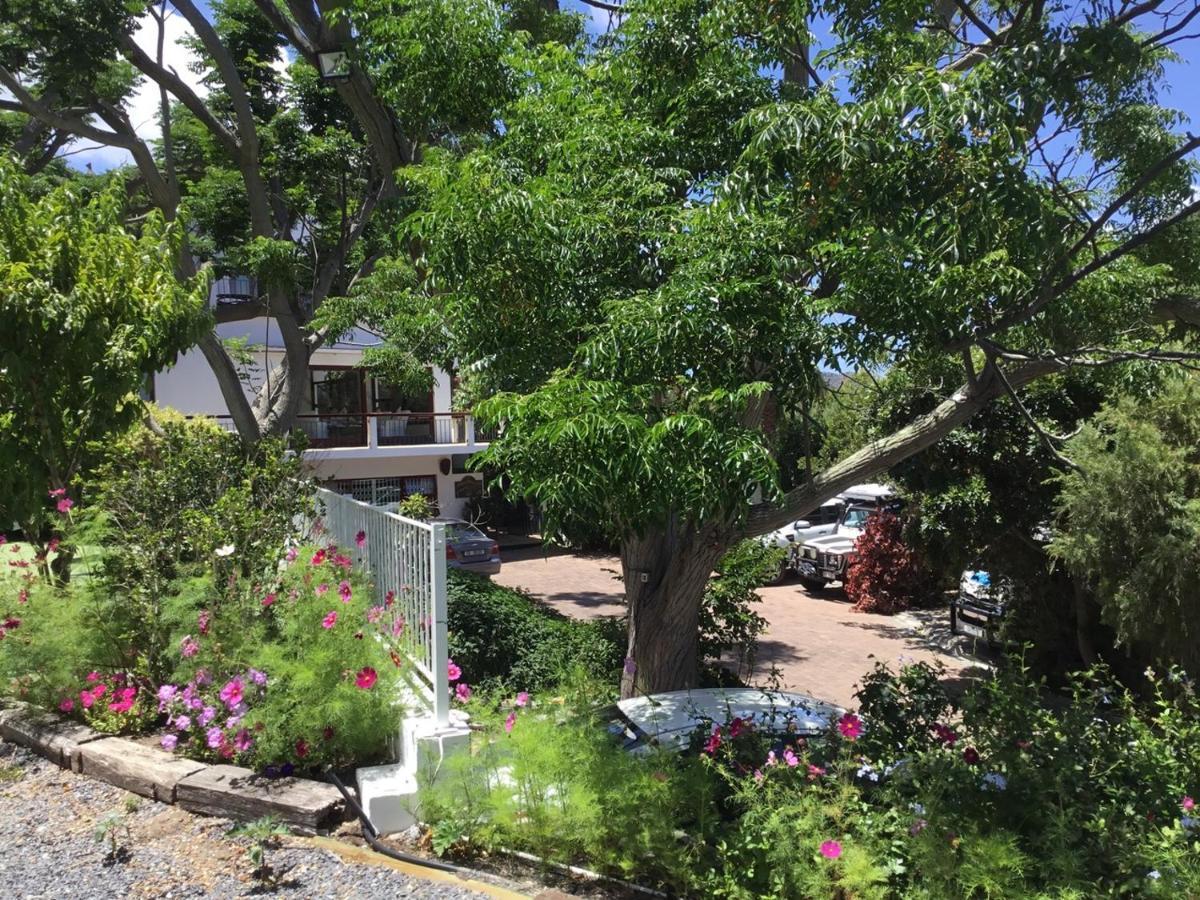 Oceangolf Guest House Noordhoek Εξωτερικό φωτογραφία