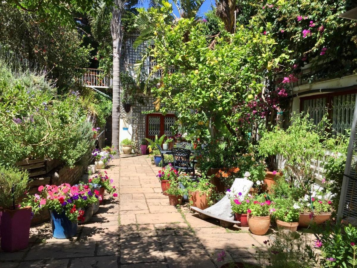 Oceangolf Guest House Noordhoek Εξωτερικό φωτογραφία