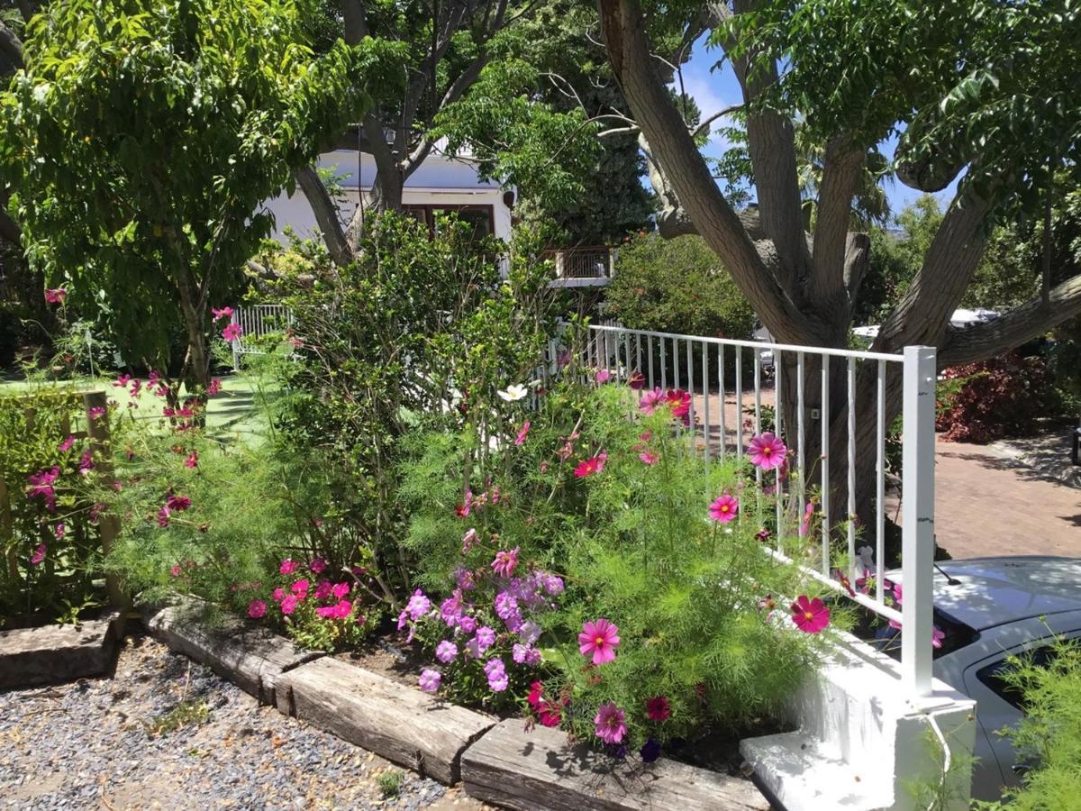 Oceangolf Guest House Noordhoek Εξωτερικό φωτογραφία