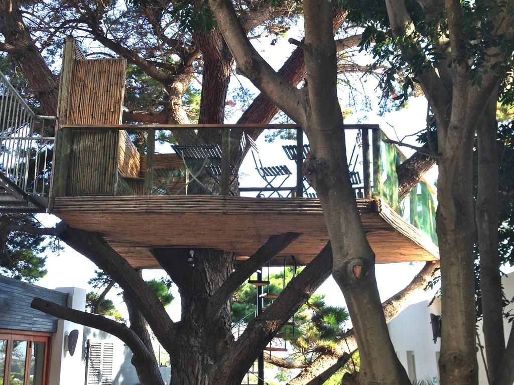 Oceangolf Guest House Noordhoek Εξωτερικό φωτογραφία