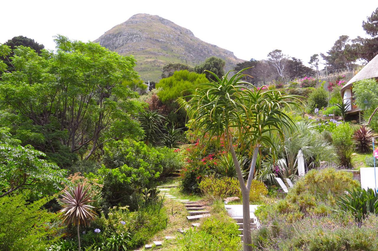 Oceangolf Guest House Noordhoek Εξωτερικό φωτογραφία